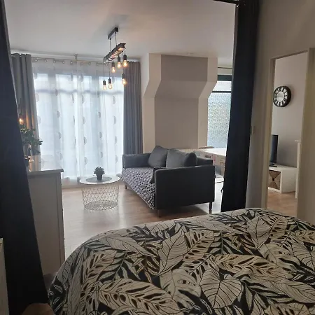 1 Le Cocon Mosaique Centre-ville Διαμέρισμα